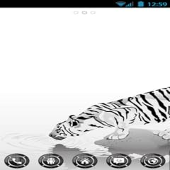 White tiger theme gebraucht kaufen  Wird an jeden Ort in Deutschland