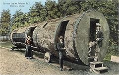 Spruce log palmer for sale  Delivered anywhere in USA 