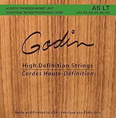 Godin guitars 008995 d'occasion  Livré partout en Belgiqu