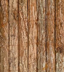 Primrose papillon bark for sale  Delivered anywhere in UK