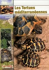 Tortues méditerranéennes d'occasion  Livré partout en Belgiqu