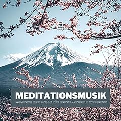 Meditationsmusik momente still gebraucht kaufen  Wird an jeden Ort in Deutschland