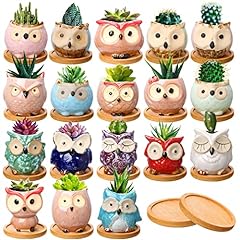 Cindeer pcs owl for sale  Delivered anywhere in USA 