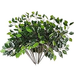 Gtidea pcs ficus for sale  Delivered anywhere in USA 