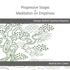 Progressive stages meditation for sale  Delivered anywhere in USA 