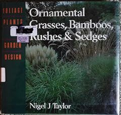 Ornamental grasses bamboos for sale  Delivered anywhere in UK