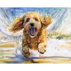 Playful cockapoo beach for sale  Delivered anywhere in UK