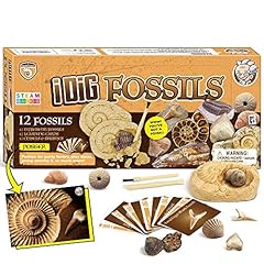 Dr. daz fossil usato  Spedito ovunque in Italia 