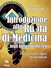 Introduzione alla ruota usato  Spedito ovunque in Italia 