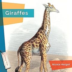 Giraffes for sale  Delivered anywhere in USA 