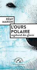 Ours polaire vagabond d'occasion  Livré partout en France