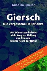 Giersch vergessene heilpflanze gebraucht kaufen  Wird an jeden Ort in Deutschland