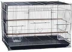 Aviary canary finch for sale  Delivered anywhere in USA 