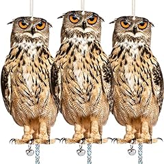 Owl keep birds for sale  Delivered anywhere in USA 
