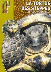 Tortue steppes testudo d'occasion  Livré partout en France