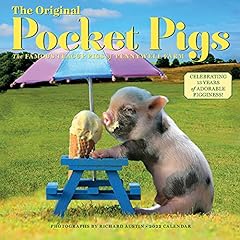 Original pocket pigs for sale  Delivered anywhere in USA 
