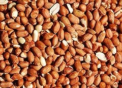 Bird whole peanuts for sale  Delivered anywhere in UK