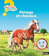 Poneys chevaux d'occasion  Livré partout en Belgiqu