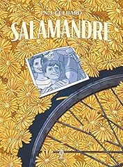 Salamandre d'occasion  Livré partout en Belgiqu