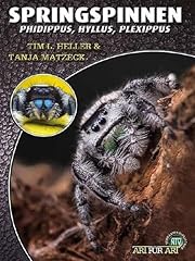 Springspinnen phidippus hyllus usato  Spedito ovunque in Italia 
