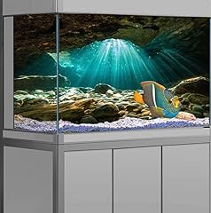 Pinpai 24x12 inches for sale  Delivered anywhere in USA 