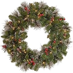National tree company for sale  Delivered anywhere in USA 