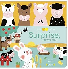 Livre câlin surprise d'occasion  Livré partout en France