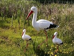 Storch familie als gebraucht kaufen  Wird an jeden Ort in Deutschland