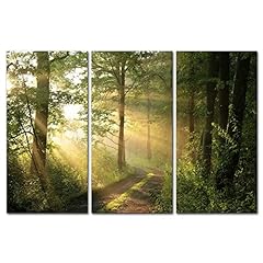3 Pieces Modern Canvas Painting Wall Art The Picture for sale  Delivered anywhere in Canada