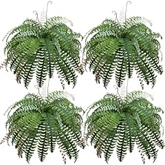 Luzoga artificial boston for sale  Delivered anywhere in USA 