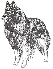 Dog rubber stamps for sale  Delivered anywhere in USA 