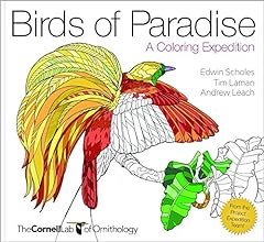 Birds paradise cornell for sale  Delivered anywhere in USA 
