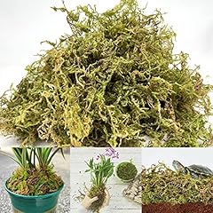 Natural sphagnum moss for sale  Delivered anywhere in UK