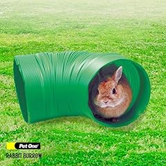Pet one green for sale  Delivered anywhere in UK