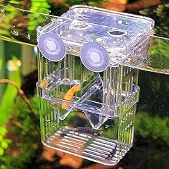 Wishlotus fish breeding for sale  Delivered anywhere in USA 