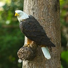 Virawa bald eagle for sale  Delivered anywhere in USA 