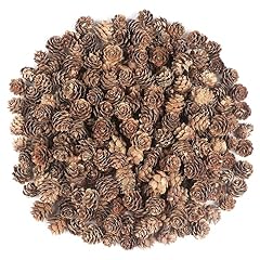 240pcs pine cones for sale  Delivered anywhere in UK