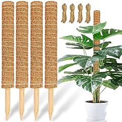Pack jjgoo moss for sale  Delivered anywhere in USA 