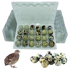 Nwquailfarm jumbo quail for sale  Delivered anywhere in USA 