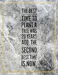 Best time plant d'occasion  Livré partout en France