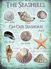 Seashells sea schedules for sale  Delivered anywhere in UK