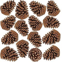 Besttoyhome pcs natural for sale  Delivered anywhere in USA 