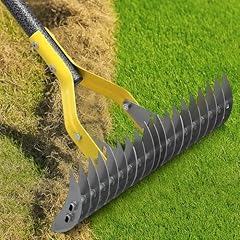 Dual action thatch for sale  Delivered anywhere in USA 