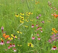 Wildflower garden landscaping for sale  Delivered anywhere in USA 