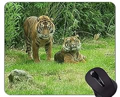 Tappetino per mouse usato  Spedito ovunque in Italia 