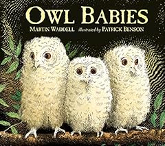 Owl babies for sale  Delivered anywhere in UK