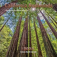 California redwoods calendar for sale  Delivered anywhere in USA 