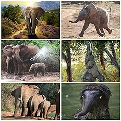 Occasion, Set de 6 cartes postales animaux ELEPHANTS avec 6 motifs d'occasion  Livré partout en France