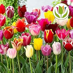 Gardenersdream 500 mixed for sale  Delivered anywhere in UK