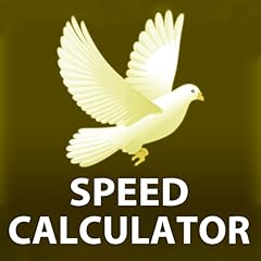Pigeon racing speed for sale  Delivered anywhere in UK